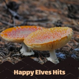 Listen to Santa's Hooked on Country Music song with lyrics from Jimmy Flynn