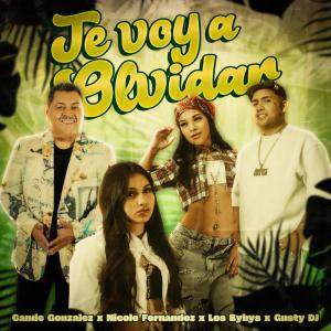 ดาวน์โหลดและฟังเพลง Te Voy a Olvidar พร้อมเนื้อเพลงจาก Nicole Fernandez