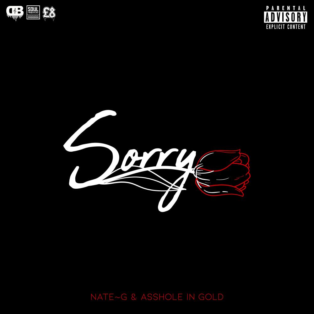 Sorry(feat. AssHole In Gold) (Explicit)
