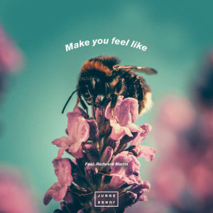 ดาวน์โหลดและฟังเพลง Make You Feel Like พร้อมเนื้อเพลงจาก Junge Junge