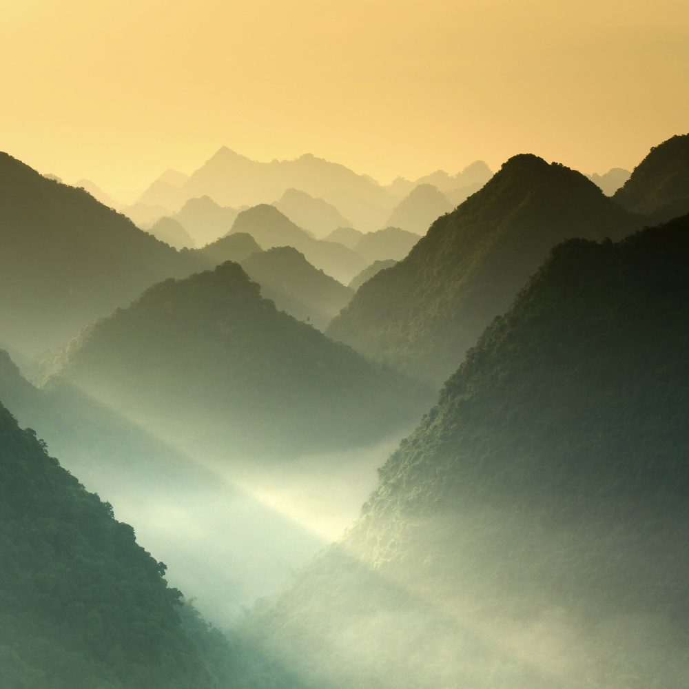 Calming Instrumental