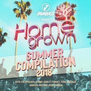 Various Artists的專輯Homegrown Summer Compilation 2018