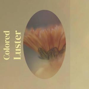 Listen to Assure Thee song with lyrics from Johny Totte