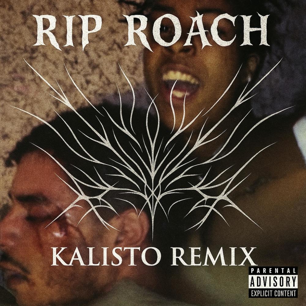 RIP ROACH (Kalisto Remix|Explicit)