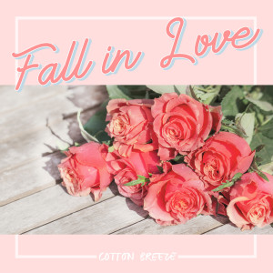 Listen to My Kitchen song with lyrics from 코튼브리즈 (Cotton Breeze)
