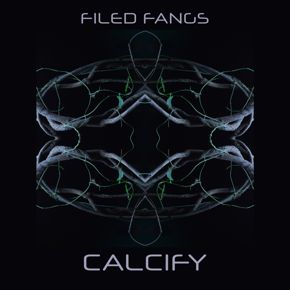 Calcify