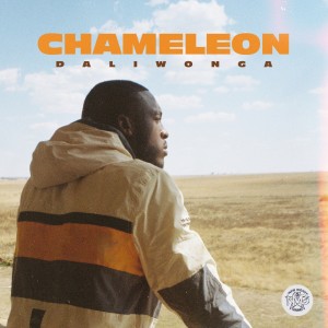 Listen to Tell Me song with lyrics from DaliWonga