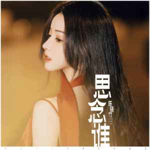 收聽陳曉竹的思念誰 (柔情版)歌詞歌曲