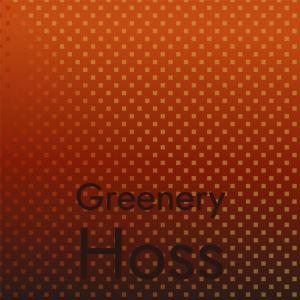 收听Dhea Paan的Greenery Hoss歌词歌曲