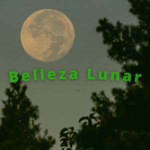 Belleza Lunar
