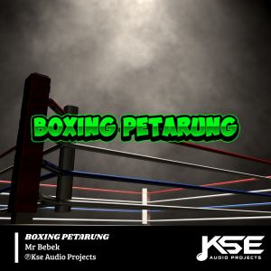 Mr Bebek的專輯BOXING PETARUNG