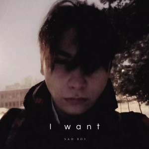 Dengarkan I want lagu dari Sad Boy dengan lirik