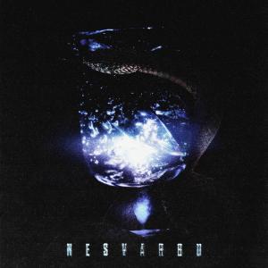 OG VERSION的專輯Nesvarbù (Explicit)