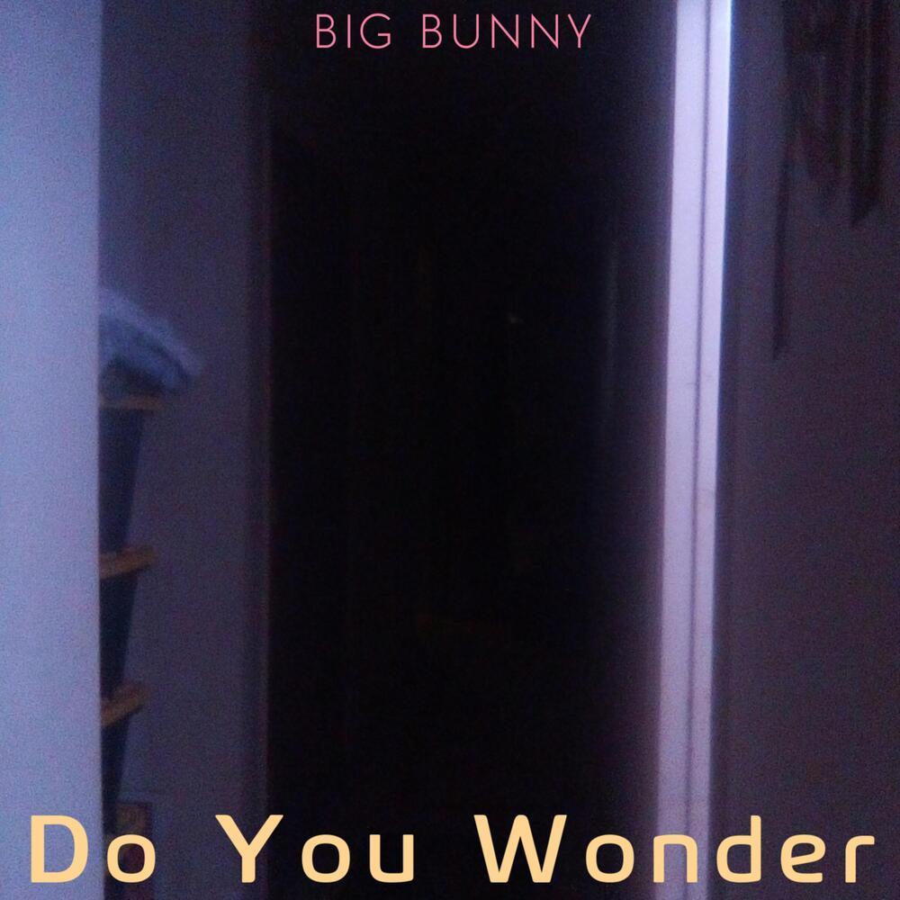 Do You Wonder