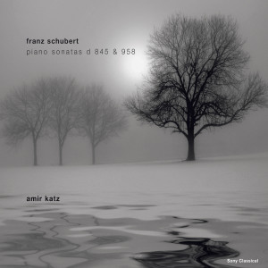 收聽Amir Katz的Piano Sonata in C Minor, D 958: II. Adagio歌詞歌曲