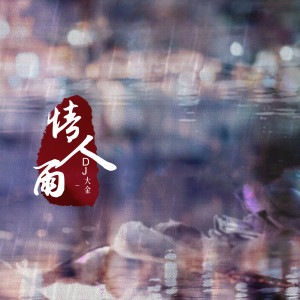 Album 情人雨 (DJ版) from DJ大金