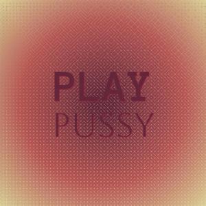 Various的专辑Play Pussy