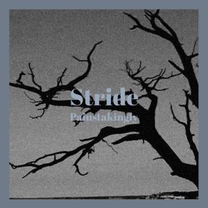 Album Stride Painstakingly oleh Various