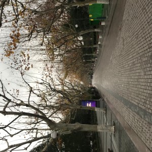 Album 沙河西路 from 李小豪呢