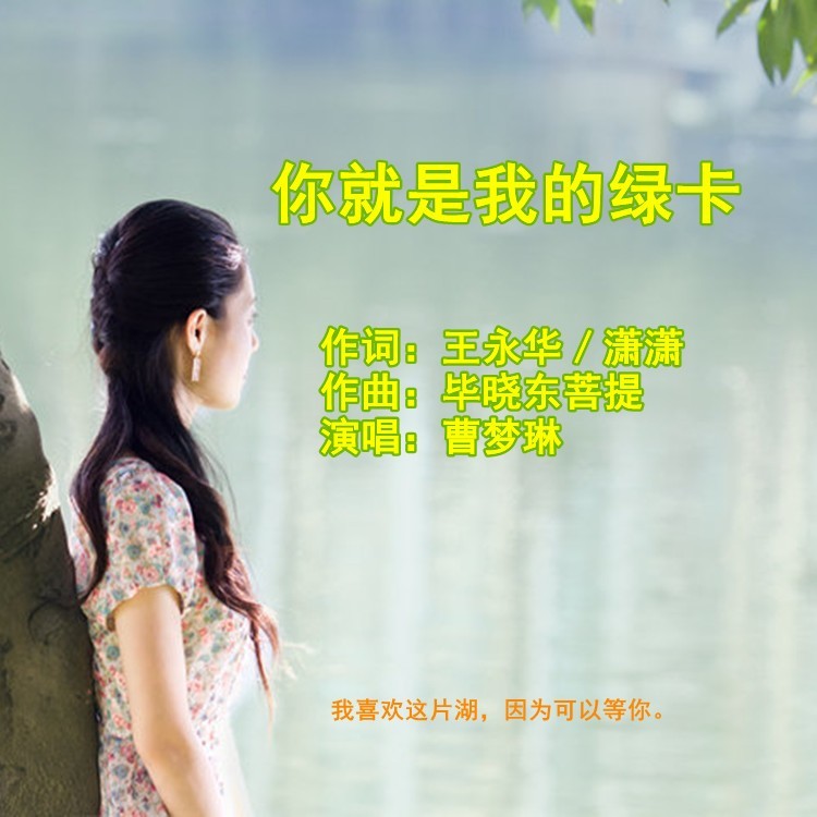 你就是我的绿卡 (伴奏)