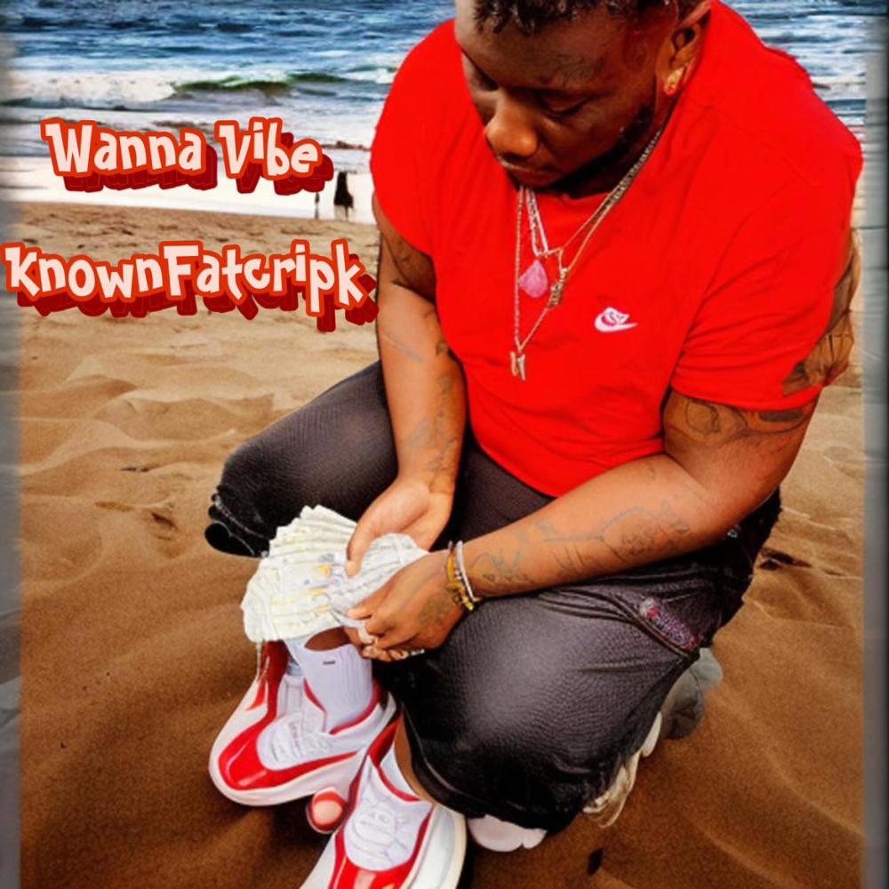 Wanna vibe (Explicit)