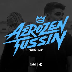Listen to Rechinii (Explicit) song with lyrics from Aerozen