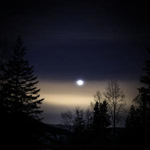 收听Relaxed Minds的Sounds of Crickets in Nature helps to Relieve Stress歌词歌曲