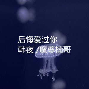 Listen to 后悔爱过你 song with lyrics from Jerry