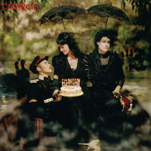 ดาวน์โหลดและฟังเพลง Raphael พร้อมเนื้อเพลงจาก CocoRosie