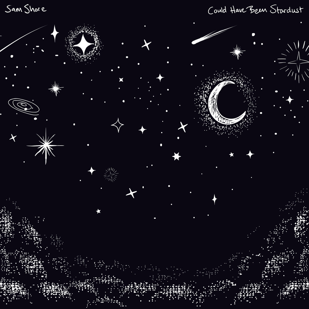 Could Have Been Stardust (其他)