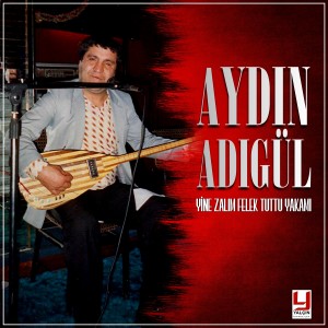 Album Yine Zalim Felek Tuttu Yakamı from Aydın Adıgül