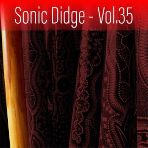 Album Sonic Didge, Vol. 35 from Ash Dargan