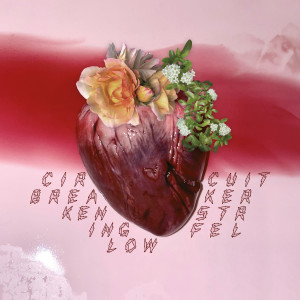 Album If That's What God Wants from Ken Stringfellow