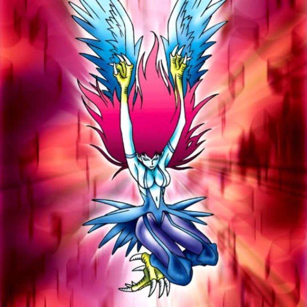 les Harpies & le Griffon (Explicit)