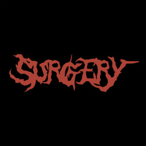 Surgery的专辑Zombie Influence (Explicit)