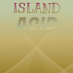 Various Artists的專輯Island Acid