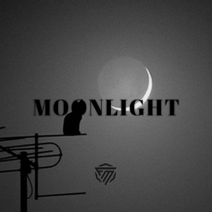 ดาวน์โหลดและฟังเพลง Moonlight พร้อมเนื้อเพลงจาก Edhy36