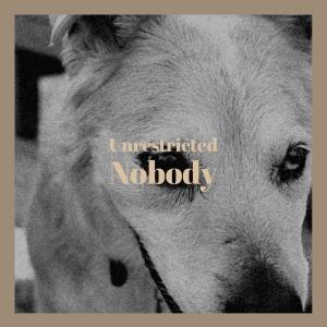 收听Katleen Ameer的Unrestricted Nobody歌词歌曲