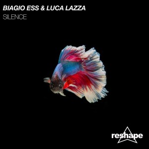 Album Silence from 