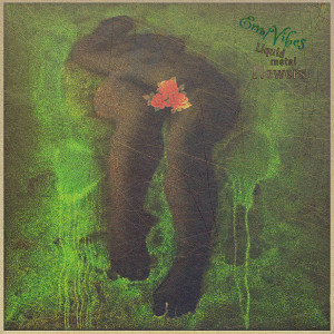 Errol Vibes的專輯Liquid Metal Flowers (Explicit)