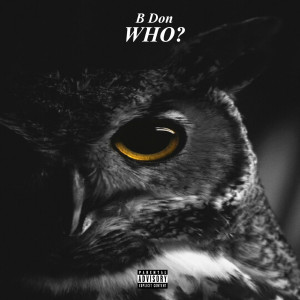 ดาวน์โหลดและฟังเพลง Who? (Explicit) พร้อมเนื้อเพลงจาก Bdon