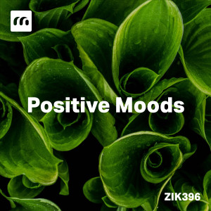 Album Positive Moods from Robert Briot