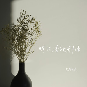 Album sara sayange from DJ阿卓