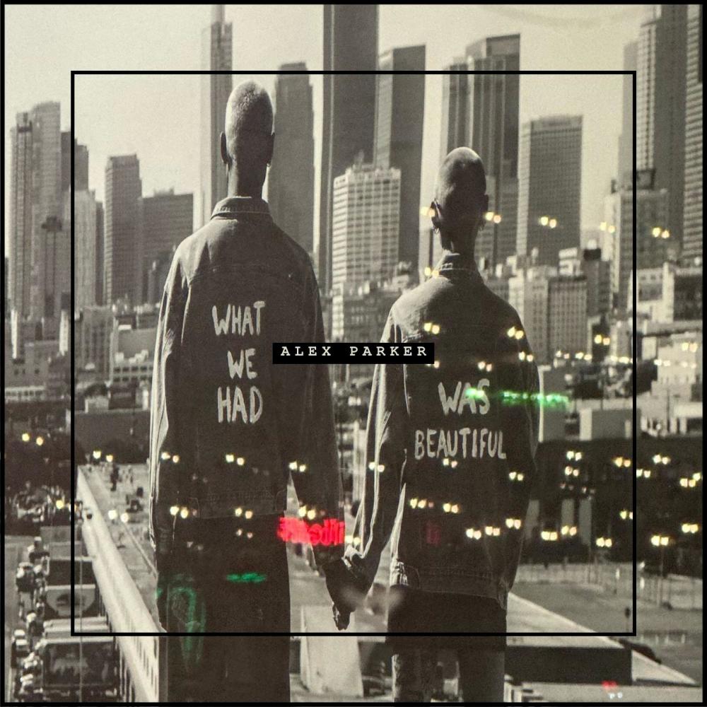 WHAT WE HAD WAS BEAUTIFUL (Explicit)