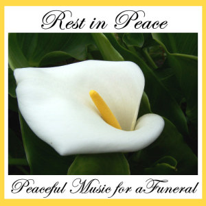 ดาวน์โหลดและฟังเพลง Roses for You พร้อมเนื้อเพลงจาก American Music Experts