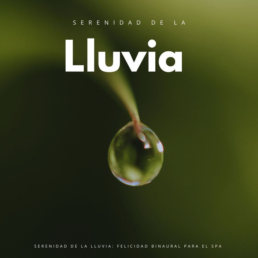 Tranquilidad De La Lluvia Eterna