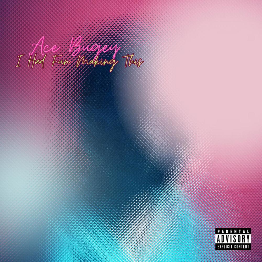 I Had Fun Making This (feat. Hvcks) (Explicit)