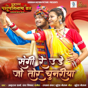 Listen to Sangi Re Ude Jo Tor Chunariya (From "Mahatma Pashupatinath Vrat") song with lyrics from Anurag Sharma