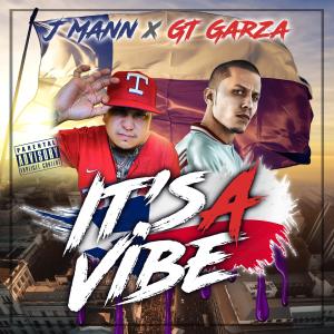 It's a Vibe (feat. GT Garza) dari GT Garza