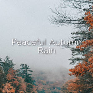 ดาวน์โหลดและฟังเพลง Rainfall Effects พร้อมเนื้อเพลงจาก Relaxing Rain Sounds